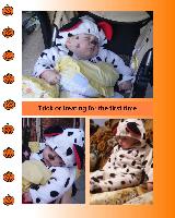 katie trick or treat