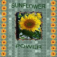 Sunflower Power