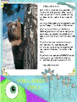 I'm gonna be a bear