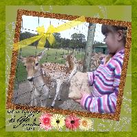 Annalise feeding deer.