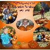Tiffany & Cisco Pumpkin Patching