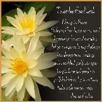For you Carol hugs