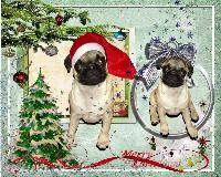 Merry Christmas from Vanille