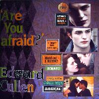 OCD Obsessive Cullen Disorder