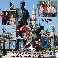 At the Royal Ball Disneyland