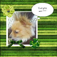 Jazzys Pattys day