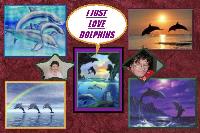 i just love dolphins