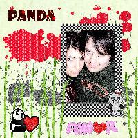 Panda Amor