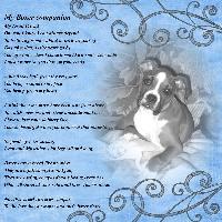 A Boxer Poem