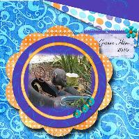 Scenes from the Funny Farm