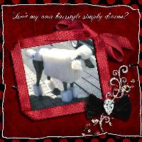 Divine New Hairstyle