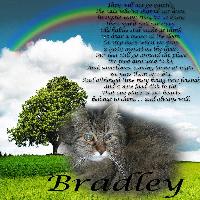 for bradley and carol