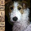 Smudge