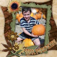 Huge pumpkins
