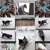 Lorelai's First Snow