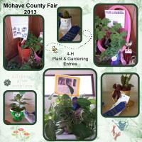 County Fair 2013