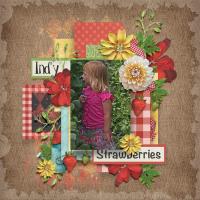 Strawberries