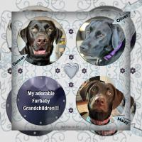 Grand Furbabies