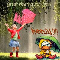 Duck Weather