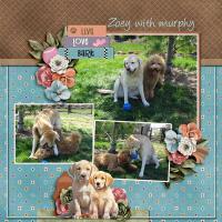 Alphabet Soup - Z - zoey