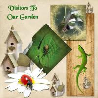 Visitors To Our Garden