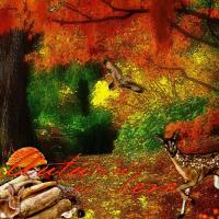 Colourful Autumn