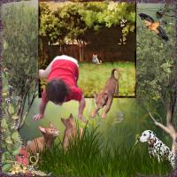 OOB - MIlly and the Cats.