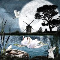 SWANS ON LAKE