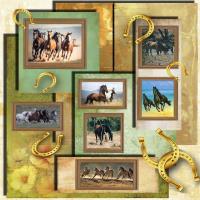 The Beauty of Horses