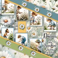 Daisies are like Sunshine