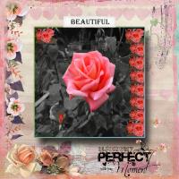 A Touch of Colour = Beauty.