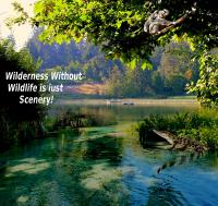 Wildlife Bingo