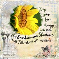 Keep Your Face to the Sun.