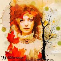 Wilderness