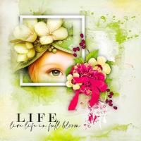 Live Life In Full Bloom