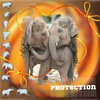 Parerntal Protection