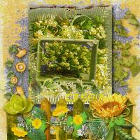 Colour Challenge #3 Filtered.