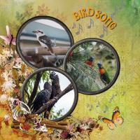 Birdsong
