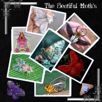 LadyBirds EtC-Moths