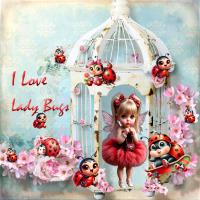 I LOVE LADYBIRDS