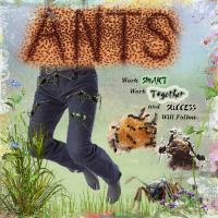 Ants at Work.
