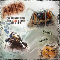 Ant World 25