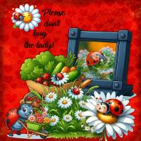 Please Don't Bug the Lady