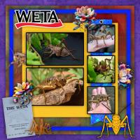 NZ Weta
