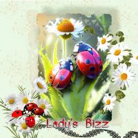 Lady's Bizz