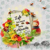 Little Miracles