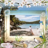 Paradise Dream. NZ beach.