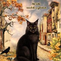 the King Around the Neighborhood 