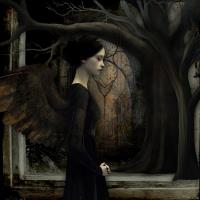 Haunted Reflections - Color Black