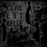 beautiful silhouettes